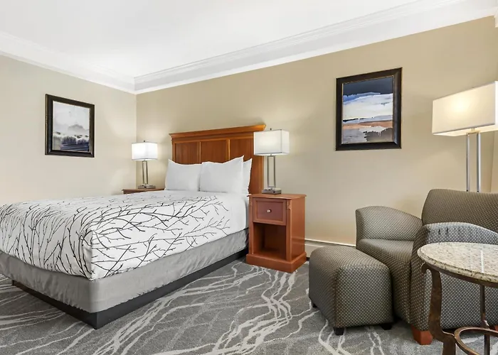 Family resorts Best Western Plus Silver Saddle Inn
